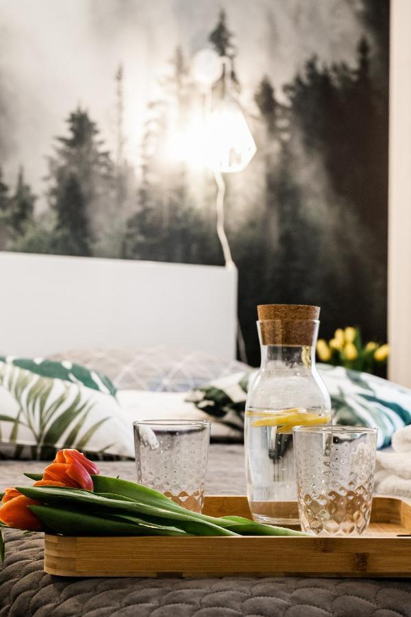 Apartament Rezydencja Vintage No1 オルシュティン エクステリア 写真